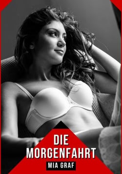 Die Morgenfahrt - Verbotene Erotikgeschichten mit explizitem Sex für Erwachsene