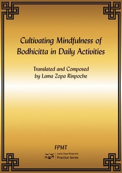 Cultivating Mindfulness of Bodhicitta in Daily Activities eBook