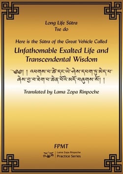 Amitayus Long Life Sutra eBook