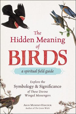 The Hidden Meaning of Birds--A Spiritual Field Guide - Explore the Symbology and Significance of These Divine Winged Messengers