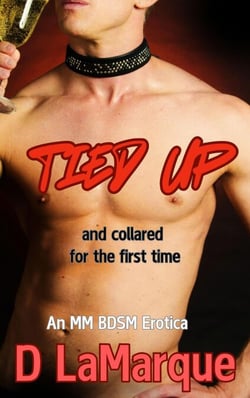 Tied Up and Collared for the First Time: An MM BDSM Erotica - Club Kink - MM BDSM rope bondage ds submissive gay erotica, #2