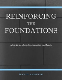 Reinforcing the Foundations: Expositions on God, Sin, Salvation, and Service