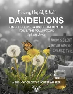 Thriving, Helpful, &amp; Wild Dandelions
