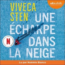Une écharpe dans la neige