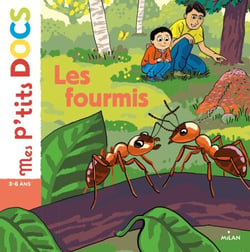 Les fourmis - Les fourmis