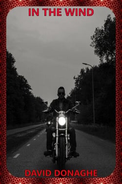 In the Wind - The Mike McDonald Action Adventure Saga, #2