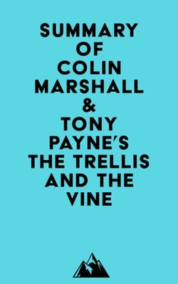 Summary of Colin Marshall &amp; Tony Payne's The Trellis and the Vine