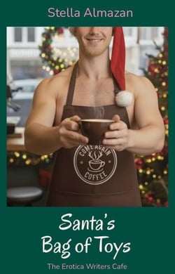 Santa's Bag of Toys - The Erotica Writers Cafe, #3