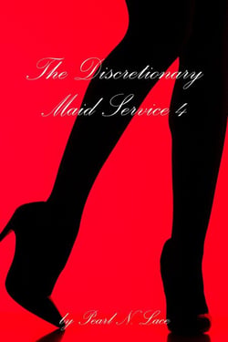The Discretionary Maid Service 4 - Sissy stories, #15