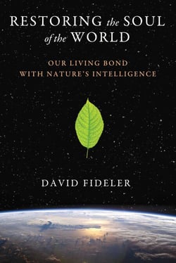 Restoring the Soul of the World - Our Living Bond with Nature's Intelligence