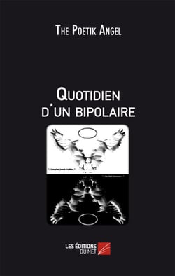 Quotidien d'un bipolaire