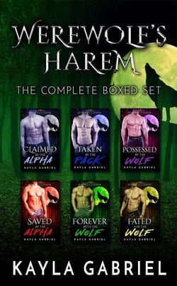 Werewolf's Harem - Complete Boxed Set - Werewolf's Harem