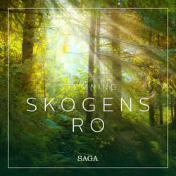 Stemning - Skogens ro