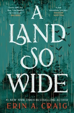 A Land So Wide - A breathtaking, deliciously dark fairy tale from #1 New York Times and USA Today bestselling author Erin A. Craig