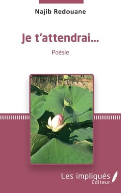 Je t'attendrai... - Poésie