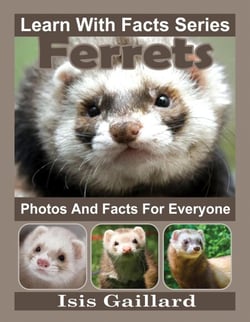 Ferrets Photos and Facts for Everyone - Learn With Facts Series, #85