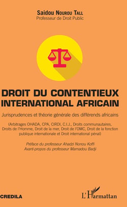 Droit du contentieux international africain - Jurisprudences et théorie générale des différends africains