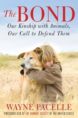 The Bond: An Excerpt with Fifty Ways to Help Animals - Our Kinship with Animals, Our Call to Defend Them