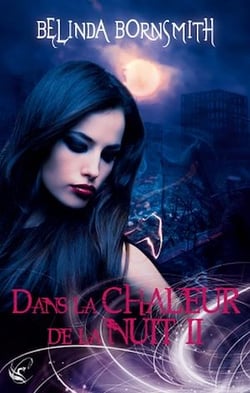 Dans La Chaleur de la Nuit II