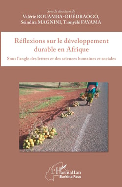 Réflexions sur le développement durable en Afrique - Sous l'angle des lettres et des sciences humaines et sociales