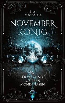 Novemberkönig - Eine Erzählung in sieben Mondphasen
