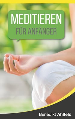 Meditieren lernen für Anfänger - Ein satirisches Praxishandbuch (mit einer simplen, aber höchst effektiven Technik)