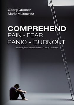 Comprehend Pain-Fear-Panic-Burnout - Unimagined Possibilities in Body Therapy