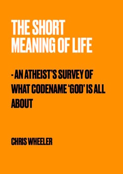 The Short Meaning of Life - An Atheist's Survey of What Codename 'God' is All About