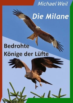 Die Milane - Bedrohte Könige der Lüfte