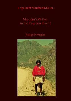 Mit dem VW-Bus in die Kupferschlucht - Reisen in Mexiko