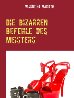 Die bizarren Befehle des Meisters - Erotik