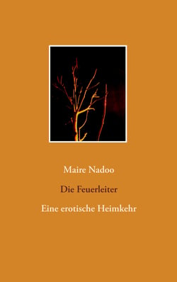 Die Feuerleiter - Eine erotische Heimkehr