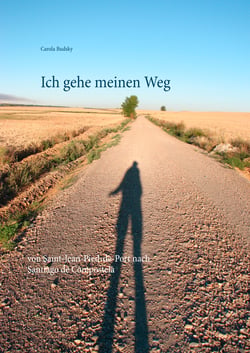 Ich gehe meinen Weg - von Saint-Jean-Pied-de-Port nach Santiago de Compostela