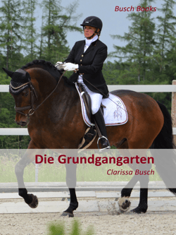 Die Grundgangarten - Schritt Trab Galopp gut reiten und vorstellen