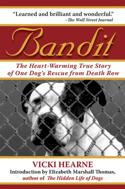 Bandit - The Heart-Warming True Story of One Dog's Rescue from Death Row