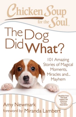 Chicken Soup for the Soul: The Dog Did What? - 101 Amazing Stories of Magical Moments, Miracles, and… Mayhem