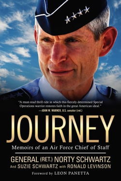Journey - Memoirs of an Air Force Chief of Staff