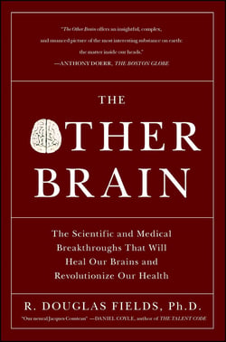 The Other Brain - From Dementia to Schizophrenia, How New Discoveries about the Brain Are Revolutionizing Medicine and Science