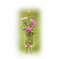 3 vases en verre - 3x16cm