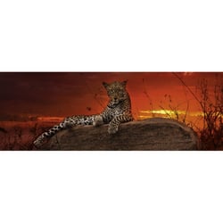 Puzzle 2000 pièces - Panorama Red Dawn