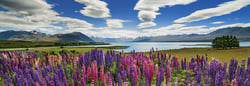 Puzzle 1000 pièces - Panorama Lake Tepako