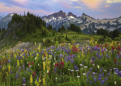 Puzzle 1000 pièces - Tatoosh  Mountains