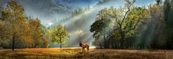 Puzzle 1000 pièces - Panorama Morning Salute
