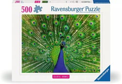 Puzzle 500 pièces - Paon