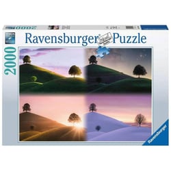 Puzzle 2000 pièces - Les saisons
