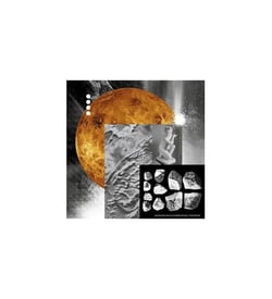 Counting stars with you/musiques femmes