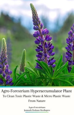 Agro-Forestrium Hyperaccumulator Plant To Clean Toxic Plastic Waste &amp; Micro Plastic Waste From Nature