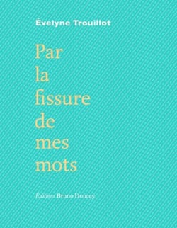 Par la fissure de mes mots
