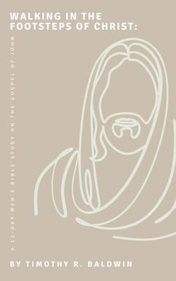 Walking in the Footsteps  of Christ: A 12-Day Men's Bible Study on the Gospel of John