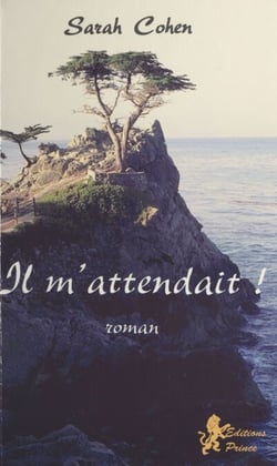 Il m'attendait ! - Roman